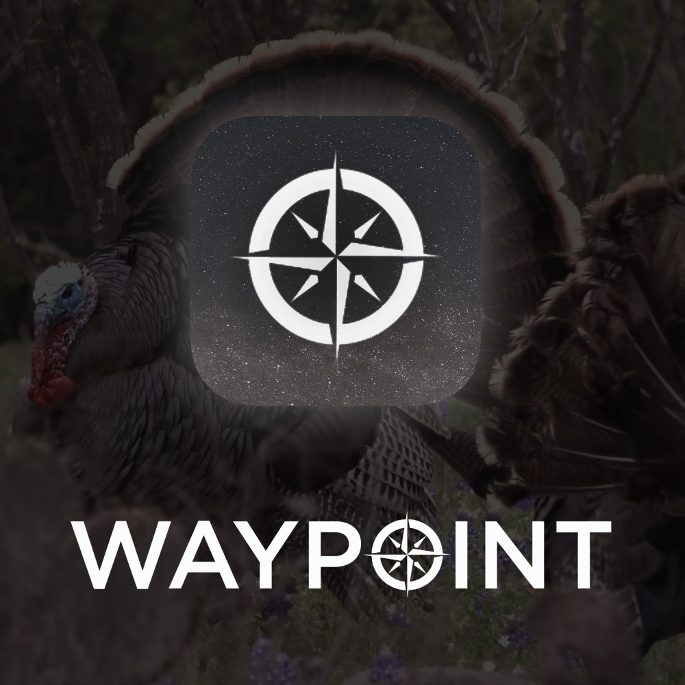 Waypoint TV